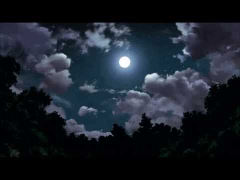 Pinegrove - Need 2 [𝙨𝙡𝙤𝙬𝙚𝙙 𝙩𝙤 𝙥𝙚𝙧𝙛𝙚𝙘𝙩𝙞𝙤𝙣]