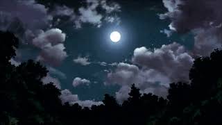 Pinegrove - Need 2 [𝙨𝙡𝙤𝙬𝙚𝙙 𝙩𝙤 𝙥𝙚𝙧𝙛𝙚𝙘𝙩𝙞𝙤𝙣]