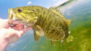 Sight Fishing for these Smallmouth was SO MUCH FUN!