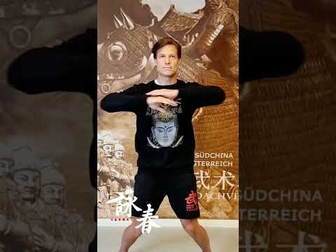 First Form of Wingchun , Siu Nim Tao Christof Hampel Sifu, Guoshu Dachverband für Südchina Kungfu