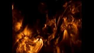 audible life stream - dawn chorus