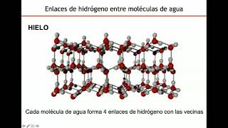 Agua, soluciones y osmolaridad - Biología Celular y Tisular