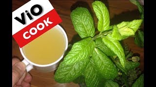 How To Make Mint Tea From Fresh Mint Leaves