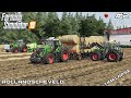Baling 71 STRAW bales with FENDTs 🇳🇱 | Animals on Hollandscheveld | Farming Simulator 19 | Episode 2