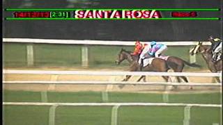 preview picture of video 'Arima Race Club - Day 42 - Saturday, December 14, 2013  - Race 5'