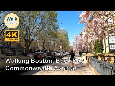 【4K60】 Walking - Boston, Back Bay: Commonwealth Ave