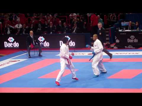 21st World Seniors Karate Championships / Male Kumite - Japan vs France