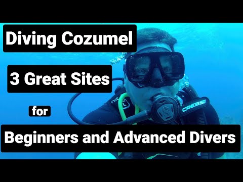 Diving Cozumel - 3 Dive Sites for Beginners and Advanced Divers