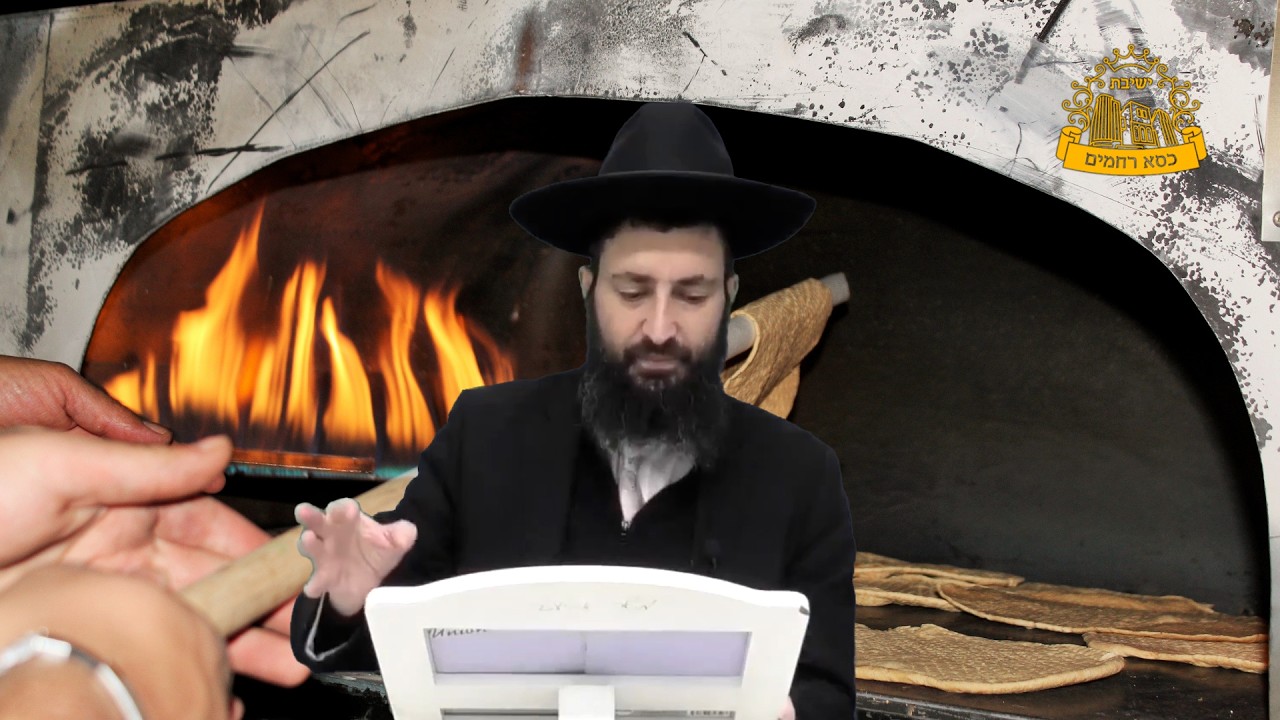 חידושים ופרפראות מרתקים: הגאון הרב משה כהן שליט"א בשיעור לחג הפסח