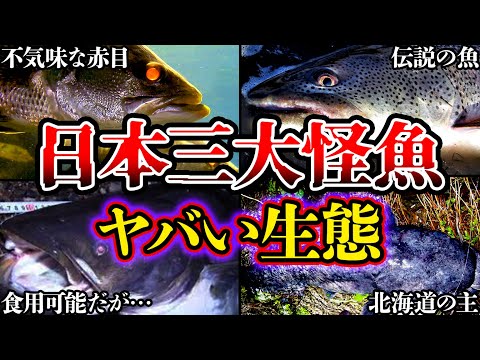 スケトウダラについて詳しく解説