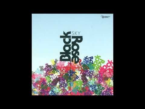 Black Rose - Sky (Henrik Schwarz & Jesse Rose Original Mix) [SMR008]