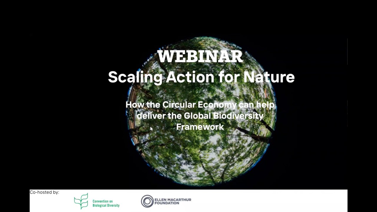 Scaling action for nature: how the circular economy can help to implement the KMGBF