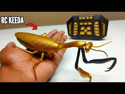 RC Realistic Prank Gadget Mentis Fastest Keeda Unboxing & Testing