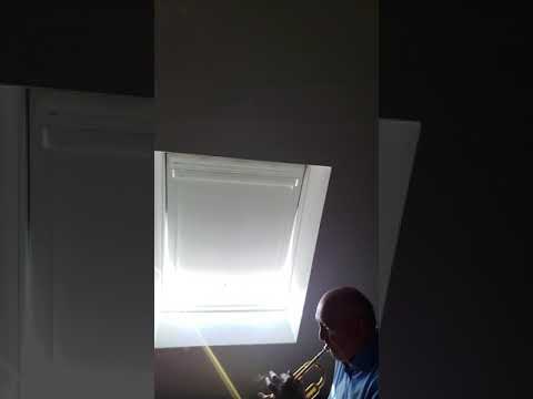 Ich hab' mein Herz in Heidelberg verloren. Lied. Musik: Fred Raymond