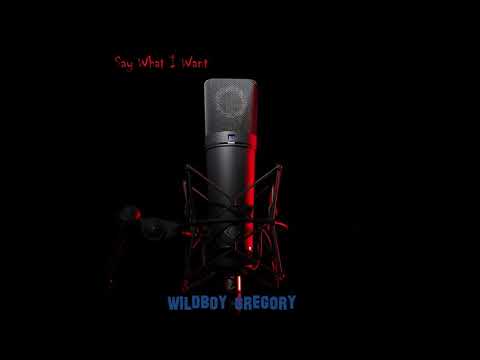 WildBoy Gregory - Say What I Want (prod. WildBoy Gregory)