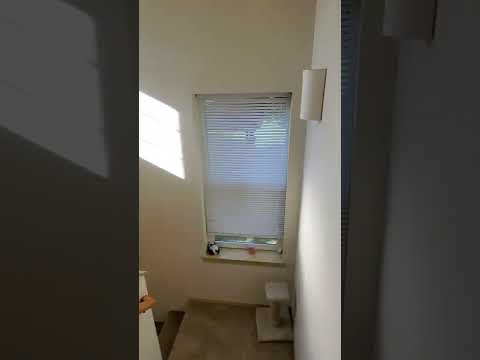 1842/1844 Valencia St - Video 2 of 2