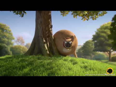 Court-métrage d'animation (catégorie humour) : Rollin France, What if animals were round
