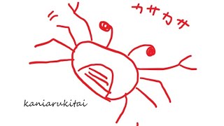 valorant 8日目　顔出し