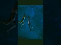 Black Panther Movie Amazing Details Black Panther Movie Hidden Details Shorts Blackpanther