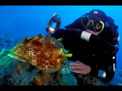 Gombessa V Expedition Mediterranean Planet - Episode 14