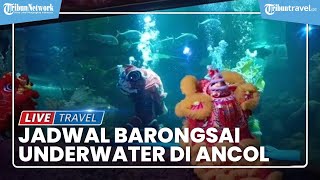 Jadwal Perayaan Imlek di Ancol, Barongsai Underwater Siap Hibur Wisatawan