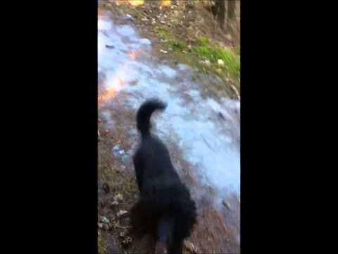 Varning för halka...