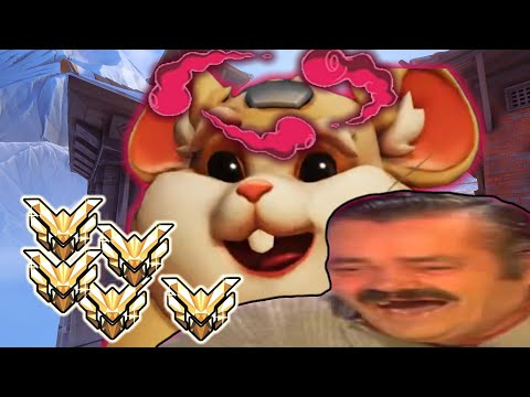 harbleu gets a MASTERS game - Overwatch