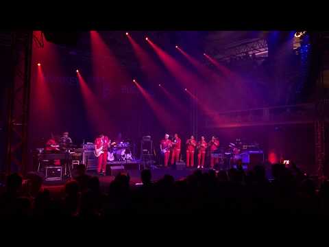 Monkey Business - Intro + Kick The Stupid