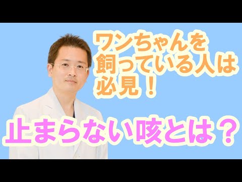 喘息の犬 - 症状と治療