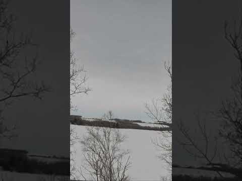 Wakaw Lake Live Camera