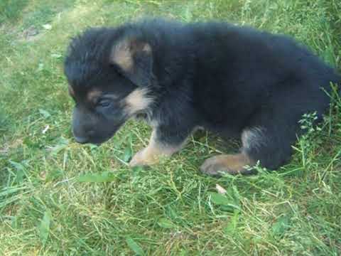 zach at 4 weeks of age