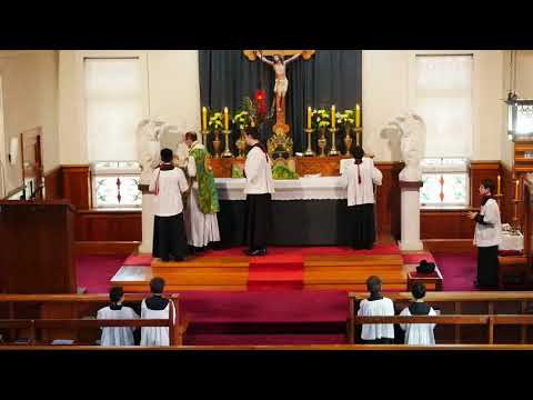 SSPXNZLIVE Livestream - 21 July 2019 High Mass