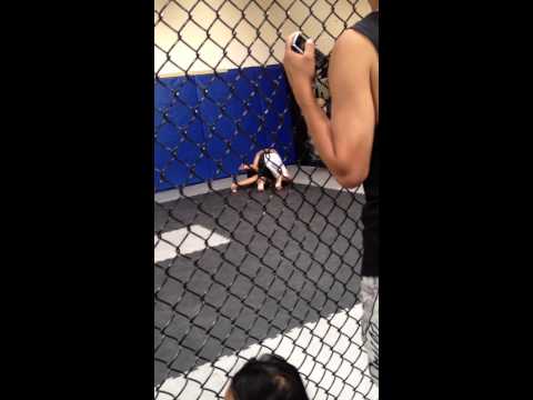 Antonio - 2012 May Grappling X Pank