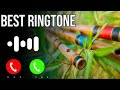 New Nepali Ringtone Timi Bina Jeteko Jeet Mandin Timi Bina Hareko Har Thanndin