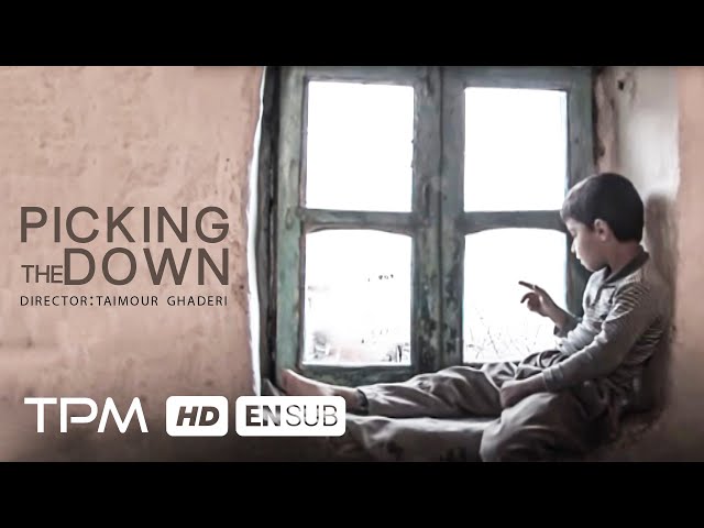 فیلم کوتاه کوردی چیدن سپیده دم از کردستان با زیرنویس انگلیسی - Short Film With English Subtitles