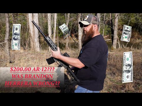 Affordable Firepower? Is The $200.00 JTS AR-12 A BUDGET BEAST! Or Cheap Bust? #shotgun #ar12 #jts