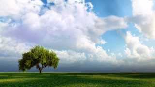 White Doves Lyrics - Cider Sky