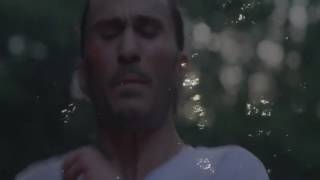 Avery Storm   Animal Miike Snow Flip1