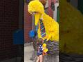 I Love Big Bird Sesamestreet
