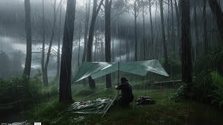 CRAZIEST STORM I EVER MET‼️SOLO CAMPING IN HEAVY RAIN AND THUNDERSTORM⛈️ MQDEFAULT Thumbnail