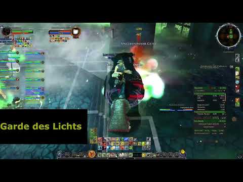 [U37] LOTRO Gwathrenost T4 ID2  Castellan Obáshurz | Beorning POV | Garde des Lichts [Belegaer]