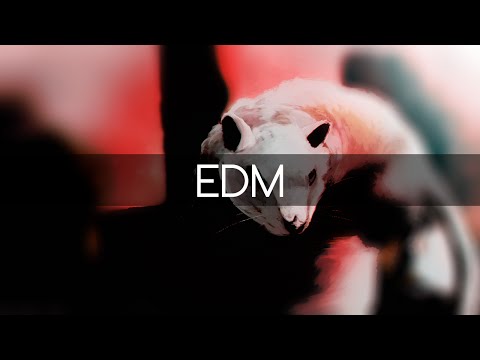 Flip Capella Vs Steve Wish & Samsation - Hey! ★ Artistspotlight [EDM]