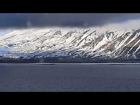 Rivages d'Islande, juin 2024