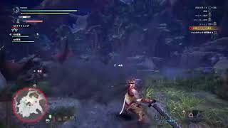 モンスターハンターワールドアイスボーン(迅竜)ナルガクルガ戦