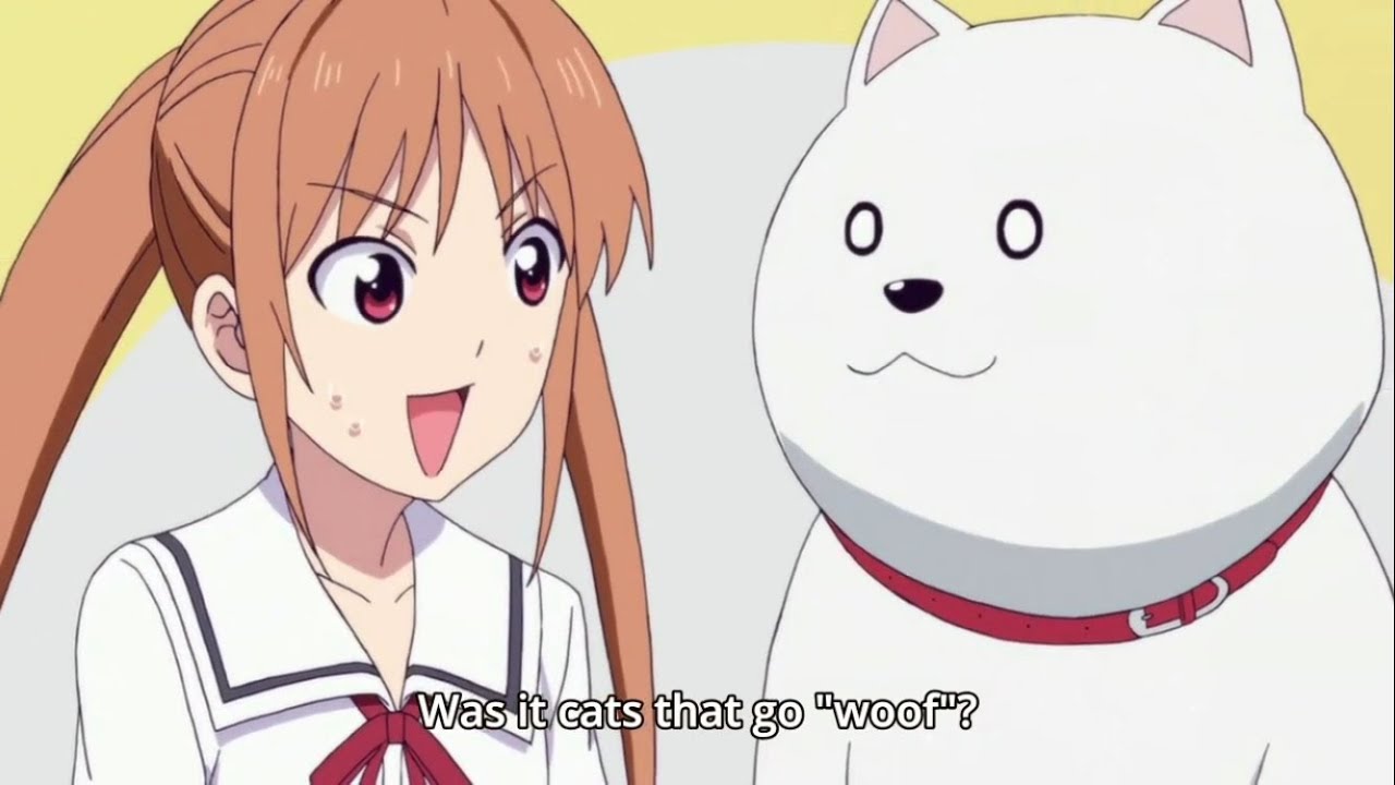 【アホガール】「ワン」って鳴くのは猫だっけ！？！？