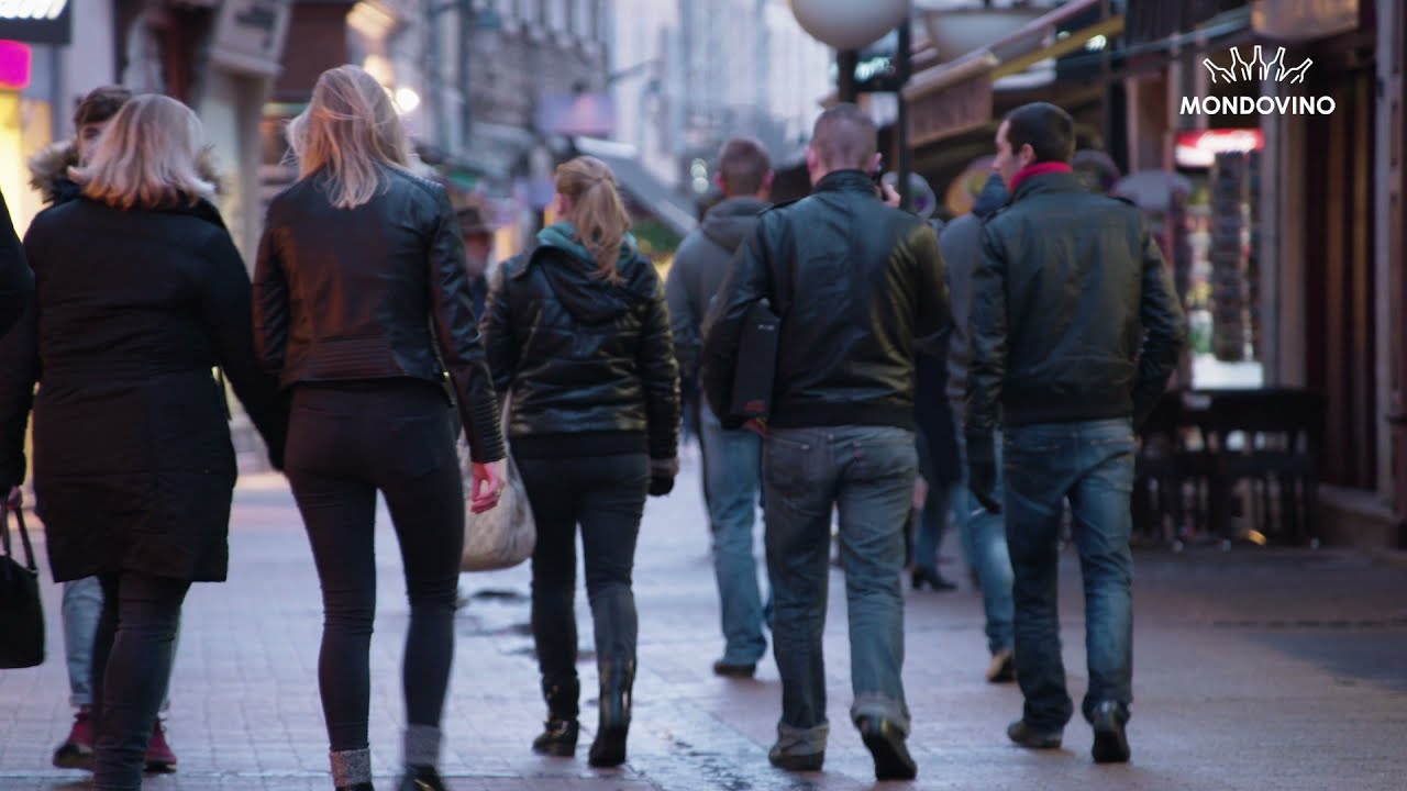 Découvrez avec nous la région viticole Bourgogne, France