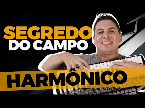 O SEGREDO do Campo Harmônico no Acordeon - Aula de Acordeon