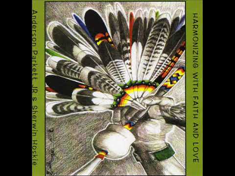 Anderson Parkett Jr 2015