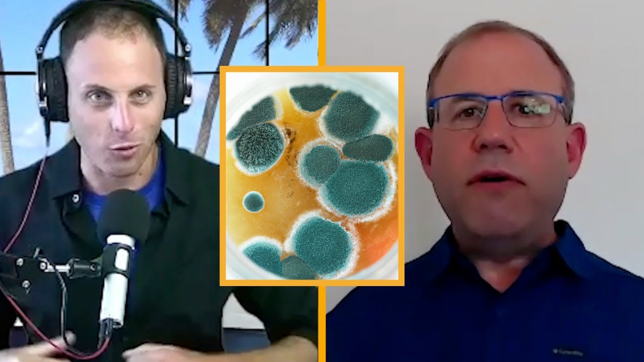 THE TRUTH ABOUT MOLD with  Dr  Joshua Helman