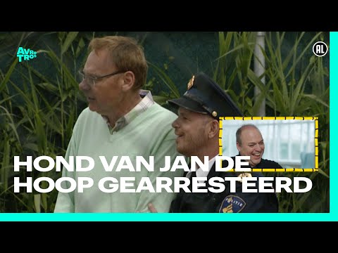 De hond van Jan de Hoop in de boeien?! 🤣🐶 ''Dit is zo krankzinnig idioot.'' | 45 jaar Bananasplit